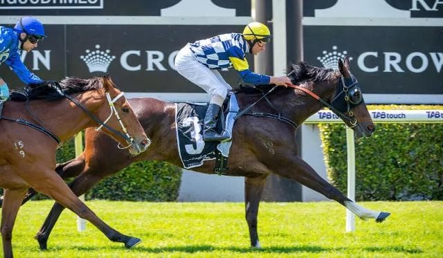 Andrews Out To Reign Supreme In Guineas